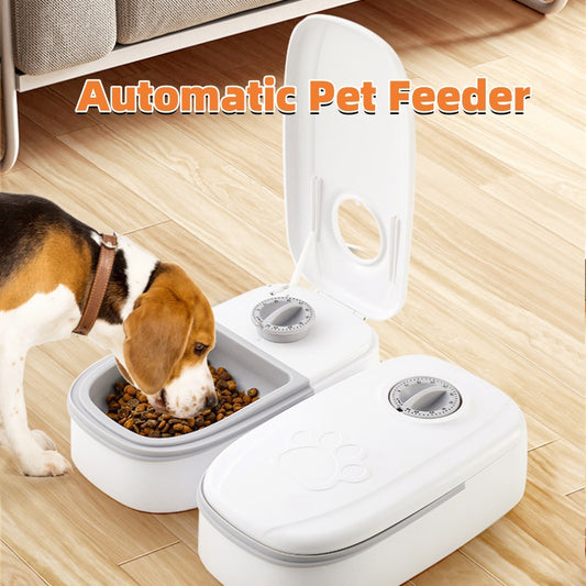 Automatic pet feeder with food and water bowl